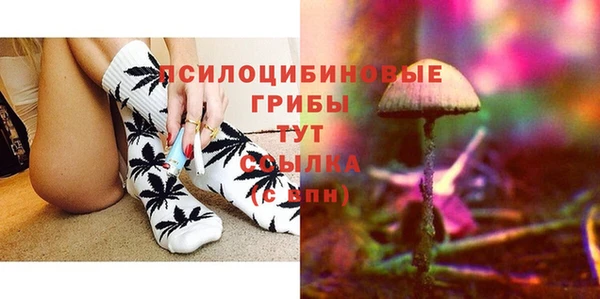 бутират Богородицк