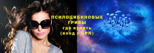 бутират Богородицк