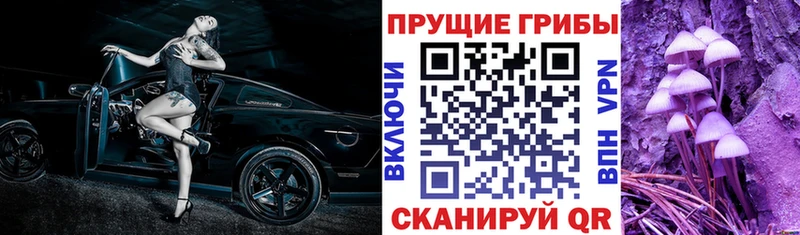Купить закладки  Ефремов  Галлюциногенные грибы Cubensis 